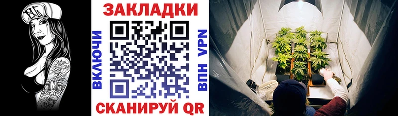 Где купить наркотики Вязники Каннабис блэк спрут зеркало ЭКСТАЗИ Меф КОКАИН ГАШ АМФ