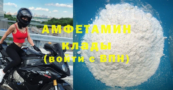 трава Ельня