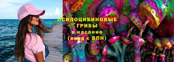 кокс Ростов