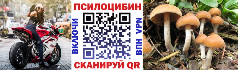 Галлюциногенные грибы GOLDEN TEACHER  закладки  мега рабочий сайт  Вязники 